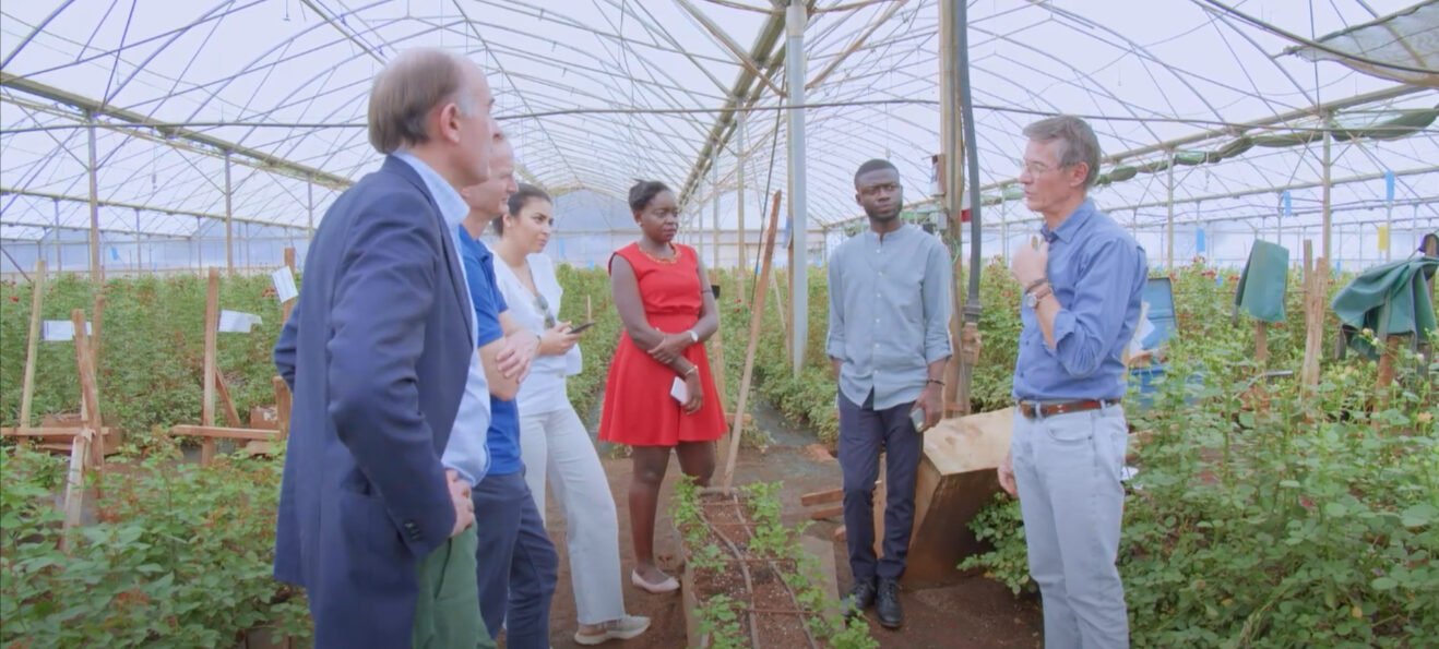 our-work-quickmart-promo-three@v2